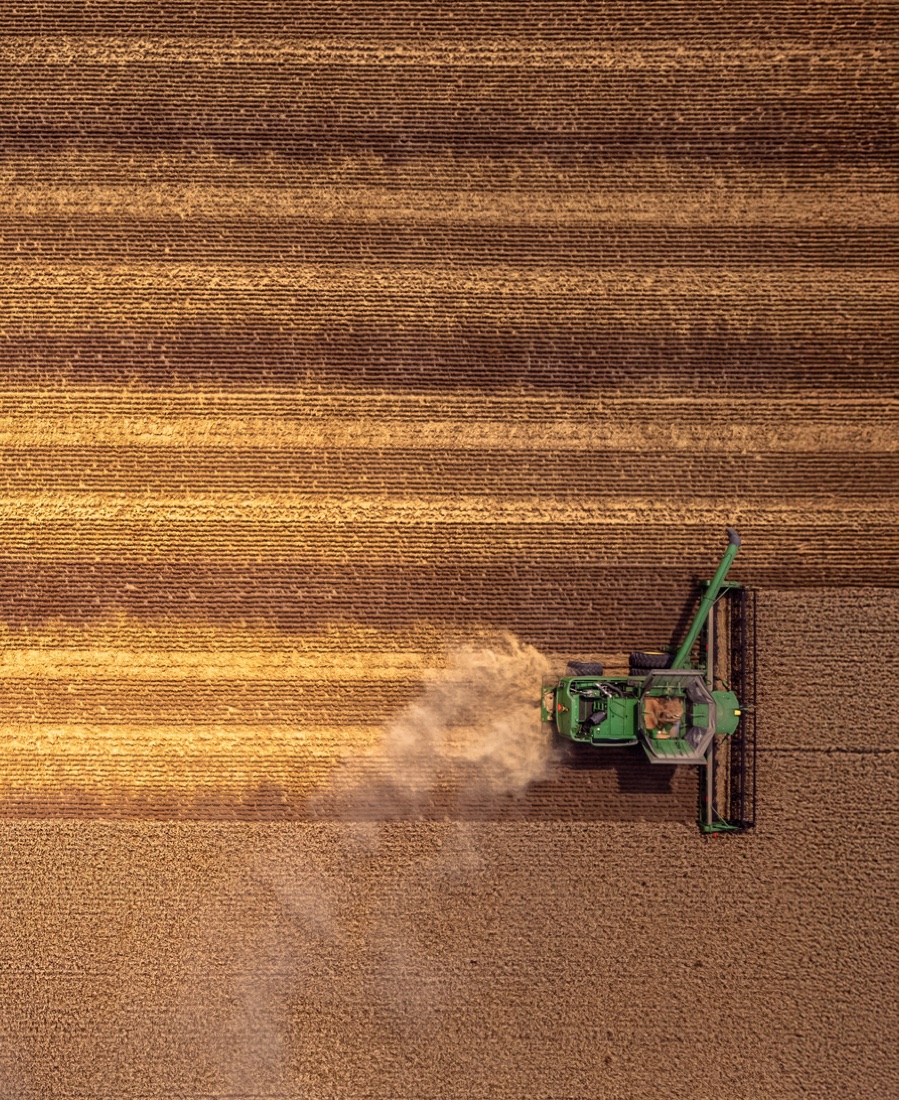 Aerial view of a combine working a golden field