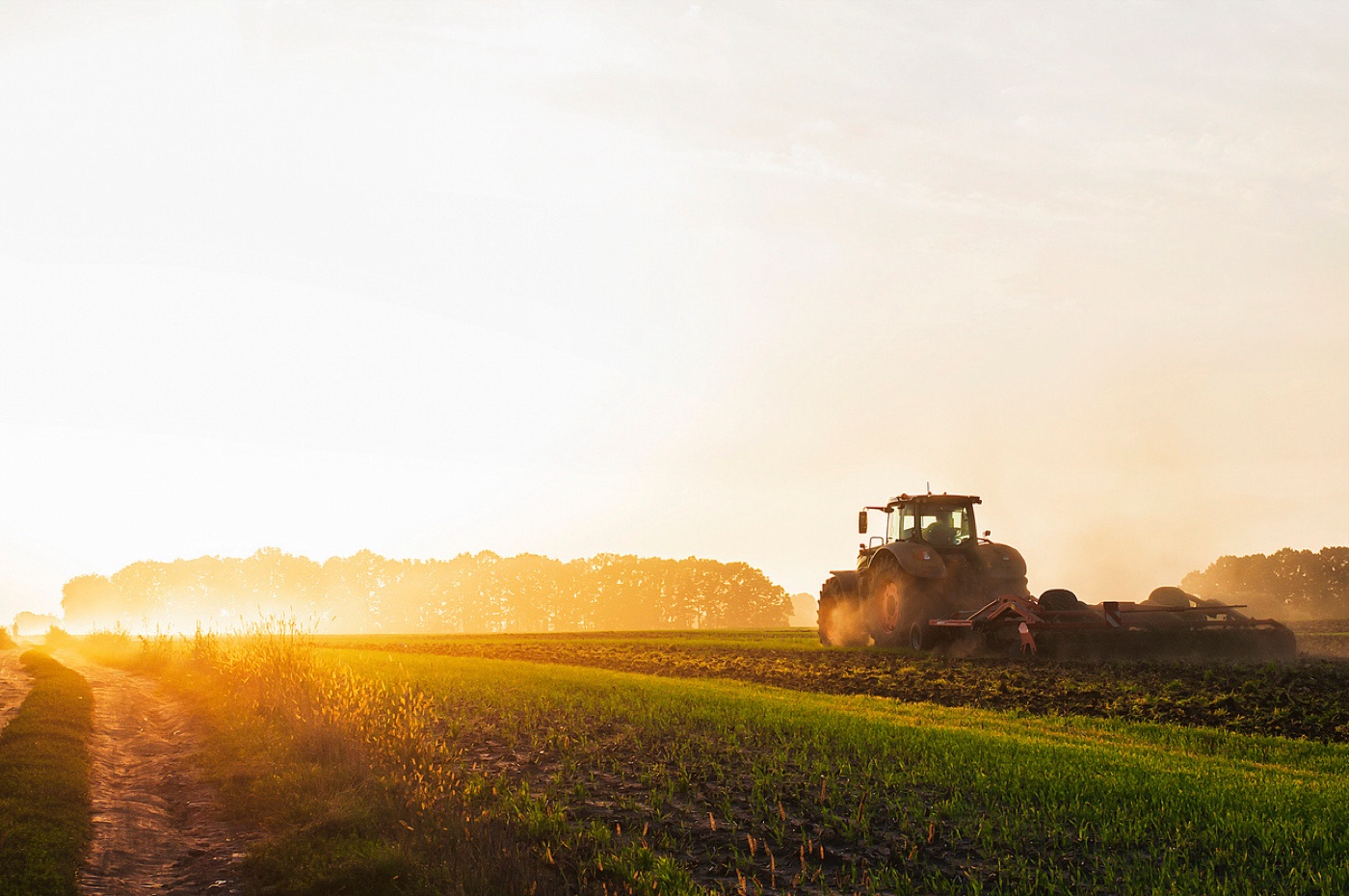 Tractor tilling a field at sunset